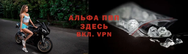 прущие грибы Бронницы