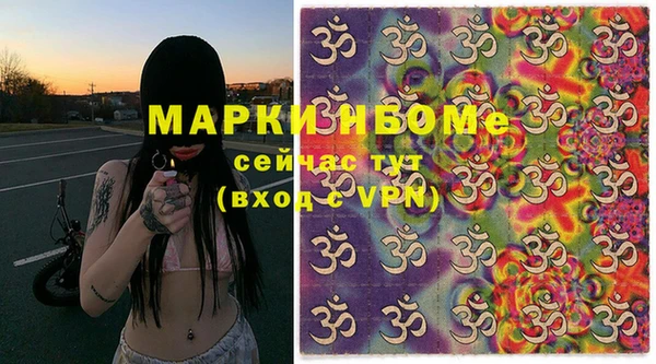прущие грибы Бронницы