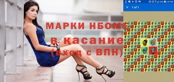 прущие грибы Бронницы