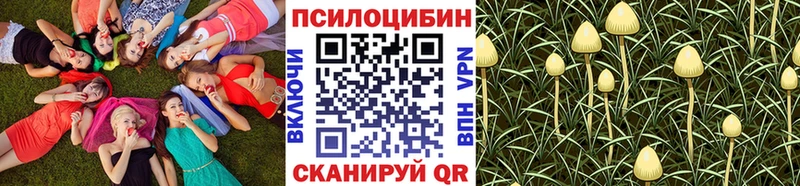 Псилоцибиновые грибы Magic Shrooms  Медногорск 